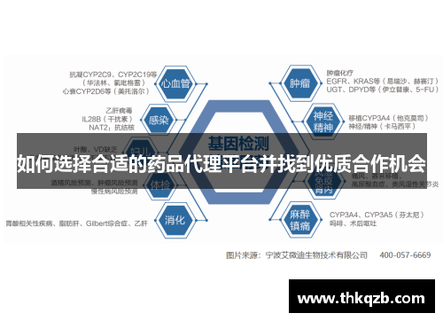 如何选择合适的药品代理平台并找到优质合作机会